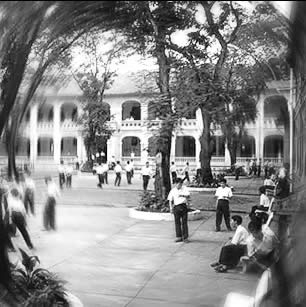 Đạo làm thầy: Những vết đen không thể tặc lưỡi cho qua