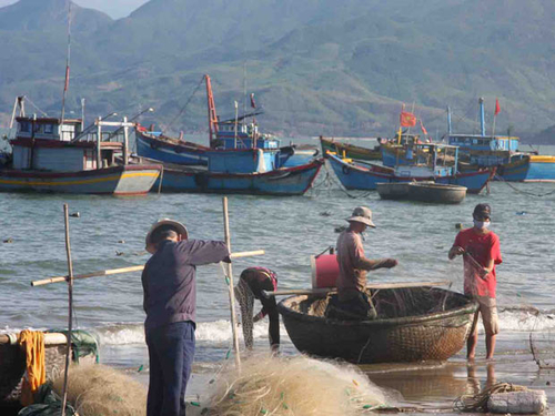 Nghiên cứu khoa học: Mục đích hay công cụ kiếm sống?