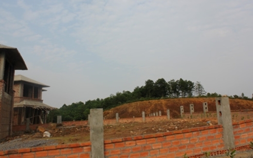 Xới ruộng, đào rừng vẽ dự án