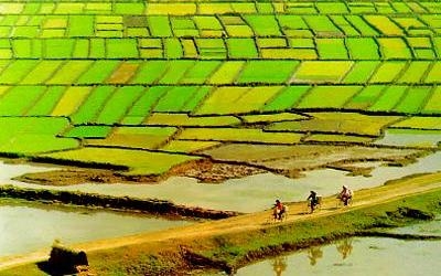 "Công thổ quốc gia" hay sự "sáng tạo" kì quặc về sở hữu?