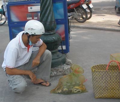 Đứng tim vì rắn choàm quạp xuống phố