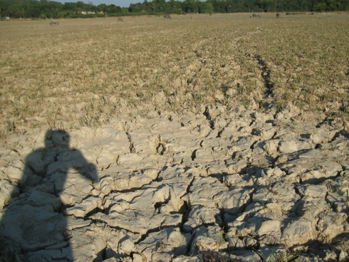 Sống mòn ở nơi hạn hán nhất Việt Nam