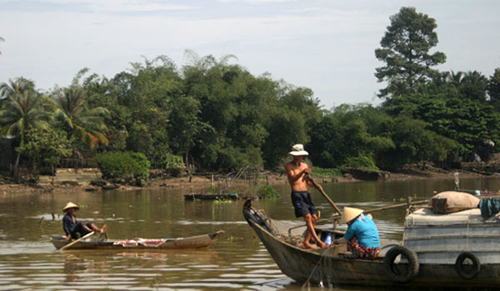 Lênh đênh làng bè Cù lao Phố