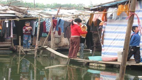 Giấc mơ Tết của lũ trẻ bãi giữa sông Hồng