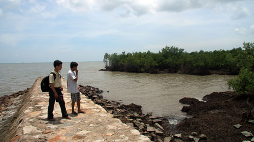 Tị nạn môi trường - Kỳ 5