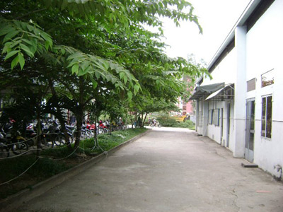 Tệ nạn “ẩn mình” trong làng đại học