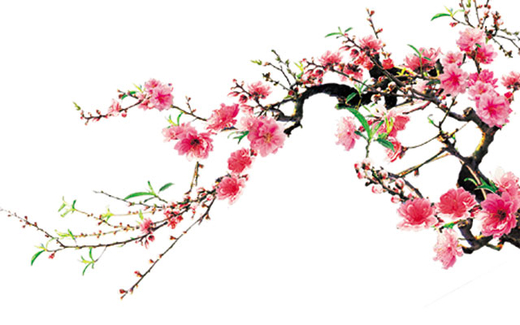 Hãy thư giãn và vui nhiều hơn