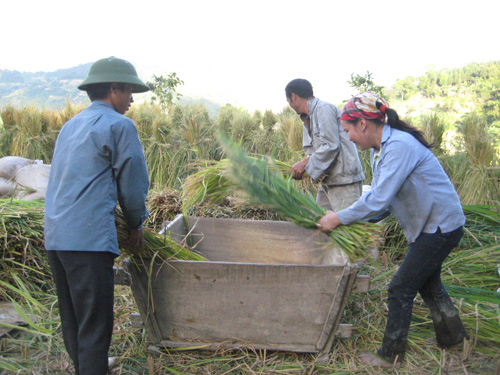 Nơi có dòng suối Đỏ đổi màu