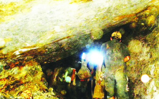 Những số phận bi thảm ở thiên đường vàng