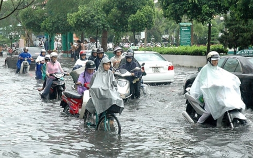 “Sếp công ích”: Vì sao lương khủng?