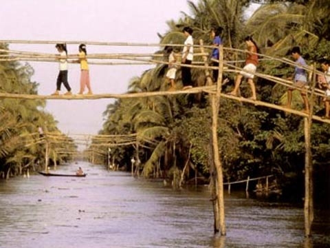 Điểm yếu chí tử của Đồng bằng sông Cửu Long