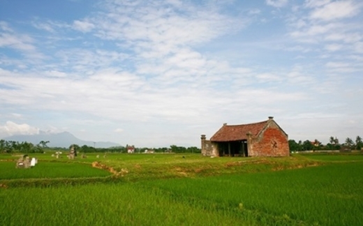 Ông trùm, chân ngắn, chân dài và quê hương