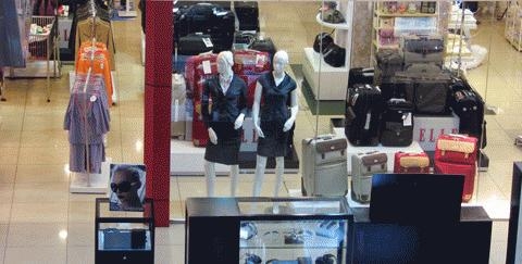 Khi sao Việt lố bịch vì hàng hiệu