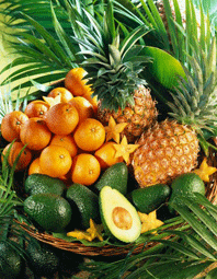 Ăn trái cây đúng cách