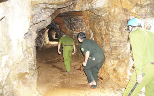 Phu vàng: Đặt cược mạng sống kiếm cơm