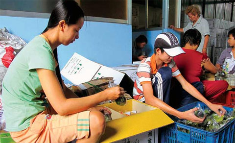 Trung Quốc ồ ạt vét nông sản: Nguy hay cơ?