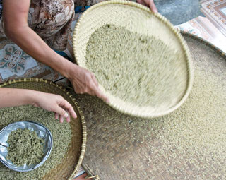 Malachite green nhuộm cốm có thể gây ung thư