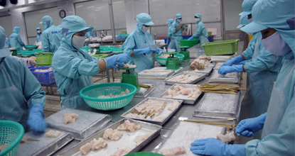 DN thủy sản sống cầm cự