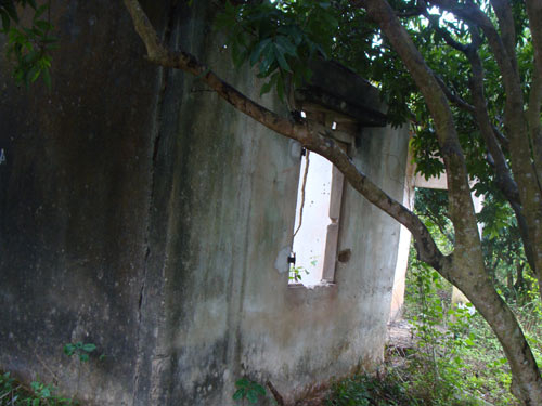 Cuộc cướp phá tàn khốc mộ vua Trần Nghệ Tông