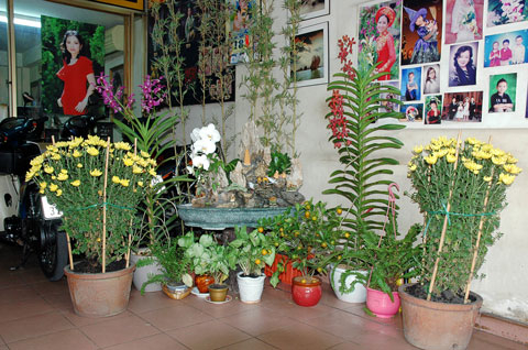 Thư gửi Tết thương yêu