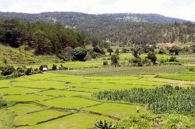 Sân golf lấn rừng, ăn đất nông nghiệp - Bài 1