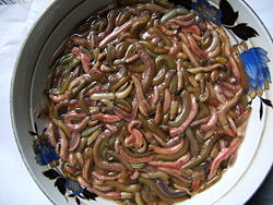 Những món ăn huyền thoại