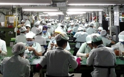 Cả ngàn cử nhân làm công nhân tại một doanh nghiệp