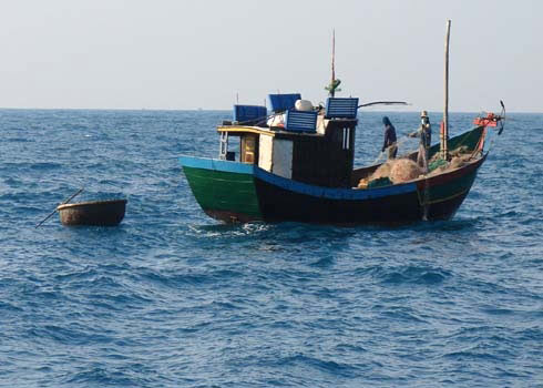 Nhiều tàu lạ đánh bắt cá ở vùng biển Việt Nam