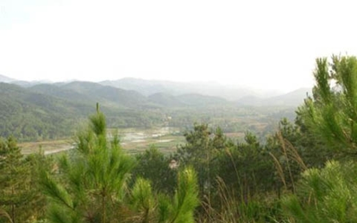 Bất động sản cả tuần nóng chuyện nhà xã hội