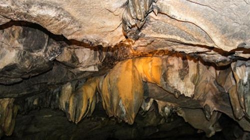 Về thăm cảnh tiên Bích Động