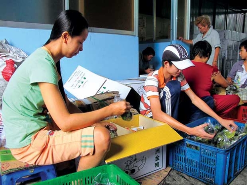 Theo chân thương lái Trung Quốc: Mê trứng vịt chạy đồng