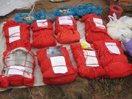 Theo các nhà ngoại cảm đi đào… tổ mối!