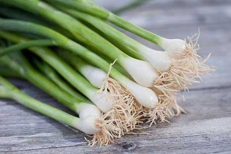 5 bài thuốc dân gian chữa viêm họng khi thời tiết chuyển mùa