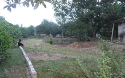 Cò đất’ nhà quê vỡ mộng