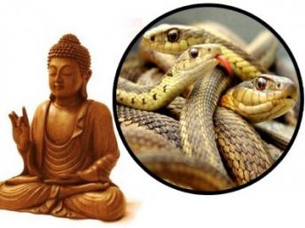 Điểm báo Quốc tế