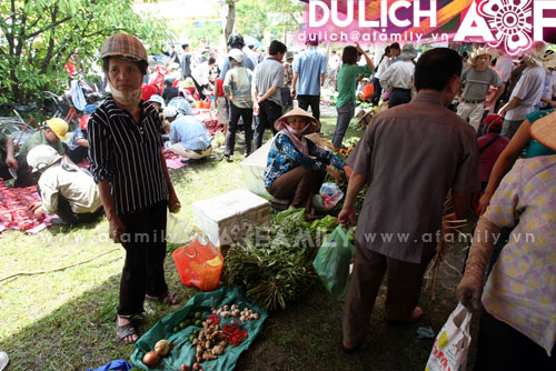 Đặc sản rau muống giòn đất trâu chọi Đồ Sơn
