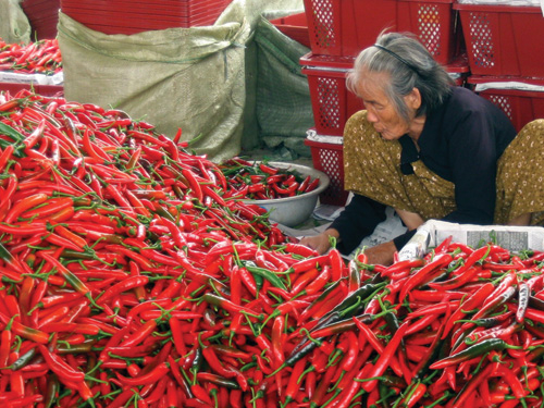 Nhiều thương lái Trung Quốc hoạt động thương mại trái phép ở VN