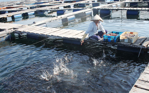 Không thể không biết