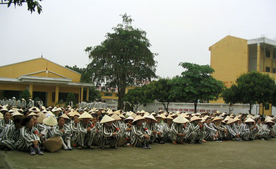 Bèo bọt teen giang hồ