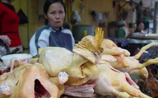 Bố nhậu lòng lợn thối, con ăn bim bim Trung Quốc