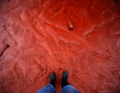 Thảm họa bùn đỏ: Trông người, ngẫm ta!