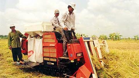 Kỳ 1: Nghe nông dân 'nói sau lưng' lãnh đạo Nông trường Sông Hậu