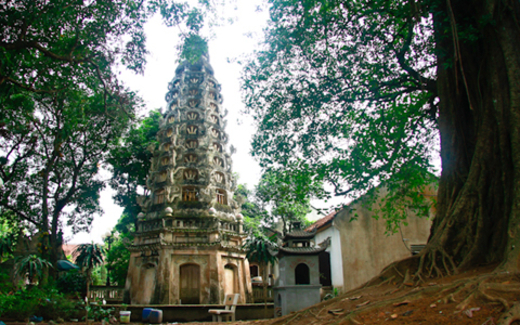 Ấn tượng trong tuần: Hội chứng "bất động..."