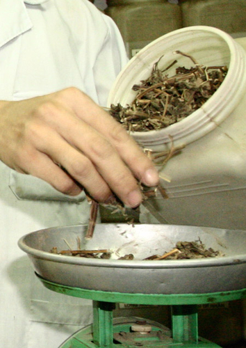 Bài thuốc chữa vô sinh, sinh con trai của thầy lang Bắc Ninh: Độc tính bất thường