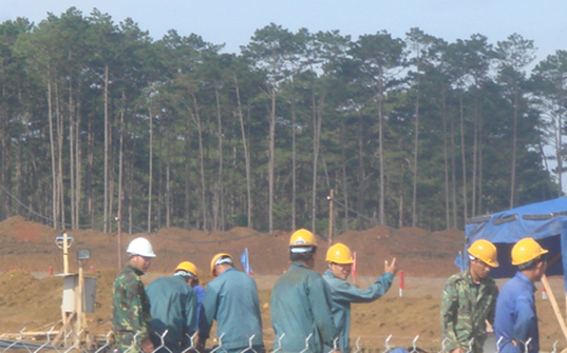 Dự án bauxite sau 4 năm: Trồng cây kiểu phi khoa học