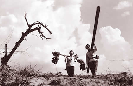 Thơ Lan Hải Thu Quỳnh