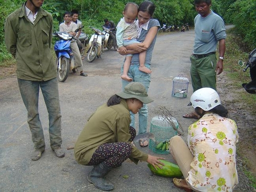 Tích nước thủy điện, dân nháo nhào chạy lũ