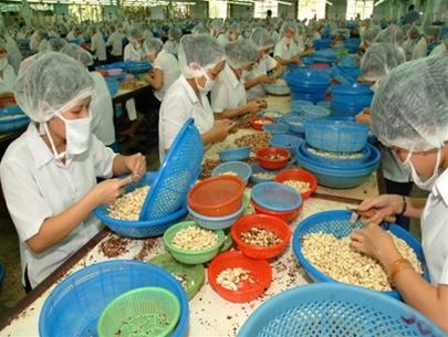 Mỗi năm nhập khoảng 1,5 tỷ USD nông sản cho "người giàu"