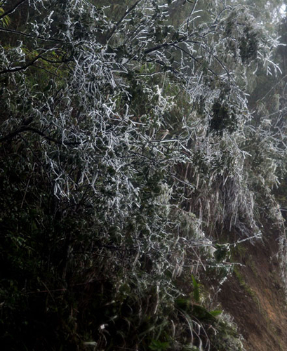 Cả nước trở lạnh