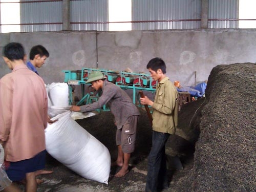 Rùng mình chè bẩn!